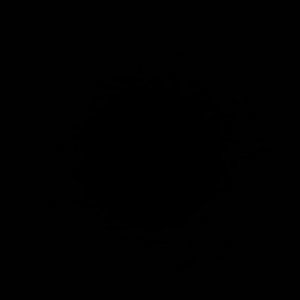 Meet your Posher, Sandy